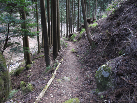 20170113hike (474)
